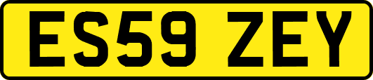 ES59ZEY