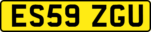 ES59ZGU