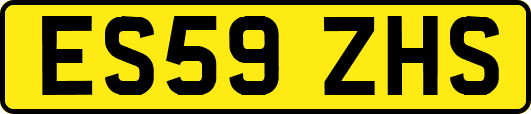 ES59ZHS