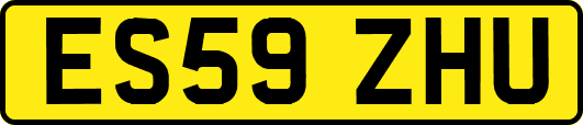 ES59ZHU