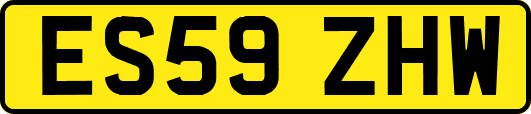 ES59ZHW