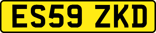 ES59ZKD