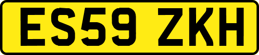 ES59ZKH