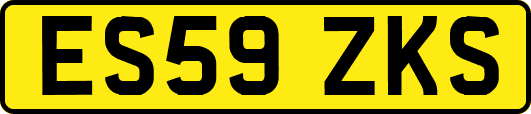 ES59ZKS