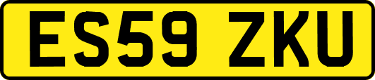 ES59ZKU