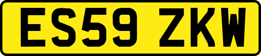 ES59ZKW