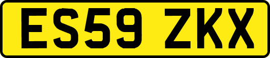 ES59ZKX