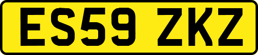 ES59ZKZ