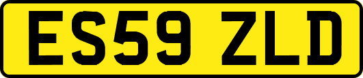 ES59ZLD