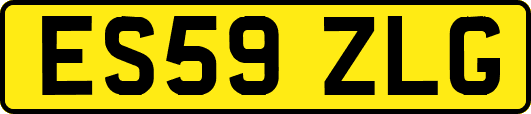 ES59ZLG