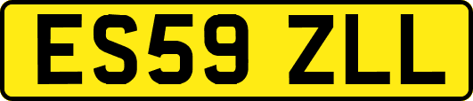 ES59ZLL