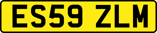 ES59ZLM