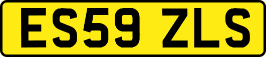 ES59ZLS