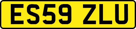 ES59ZLU