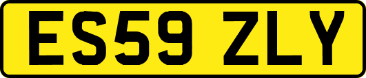 ES59ZLY