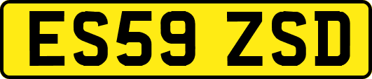 ES59ZSD