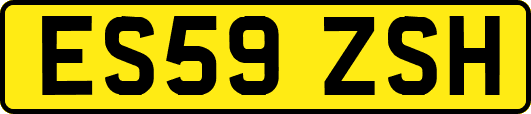 ES59ZSH