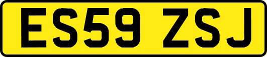 ES59ZSJ