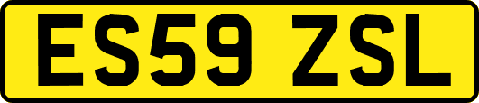 ES59ZSL