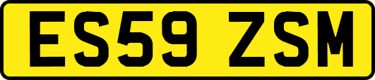 ES59ZSM