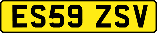 ES59ZSV