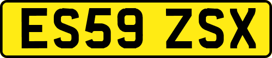 ES59ZSX