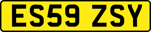 ES59ZSY