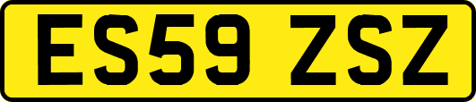 ES59ZSZ