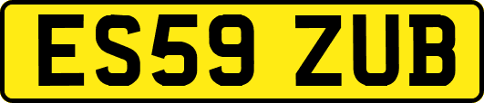 ES59ZUB