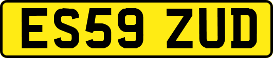 ES59ZUD