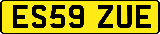 ES59ZUE