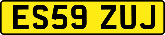 ES59ZUJ