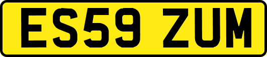 ES59ZUM