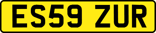 ES59ZUR