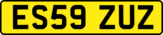 ES59ZUZ