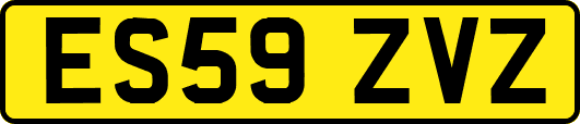 ES59ZVZ