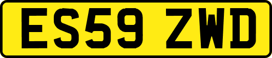 ES59ZWD