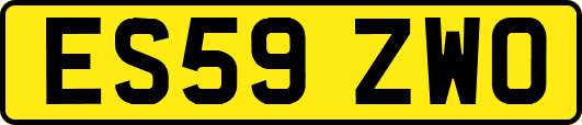 ES59ZWO