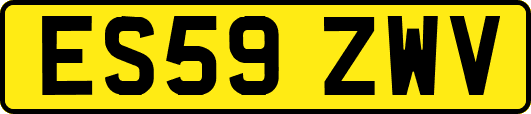 ES59ZWV