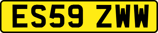ES59ZWW