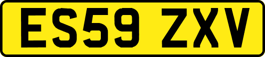 ES59ZXV