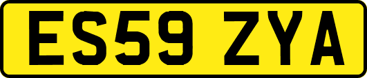 ES59ZYA