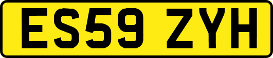 ES59ZYH