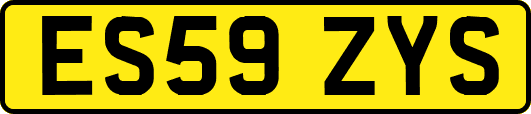 ES59ZYS