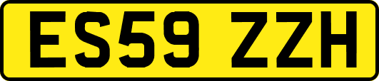 ES59ZZH