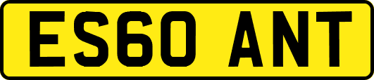ES60ANT