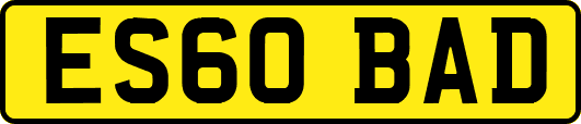 ES60BAD