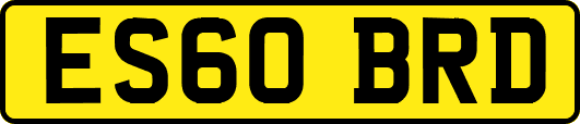 ES60BRD