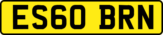 ES60BRN