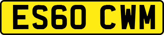 ES60CWM